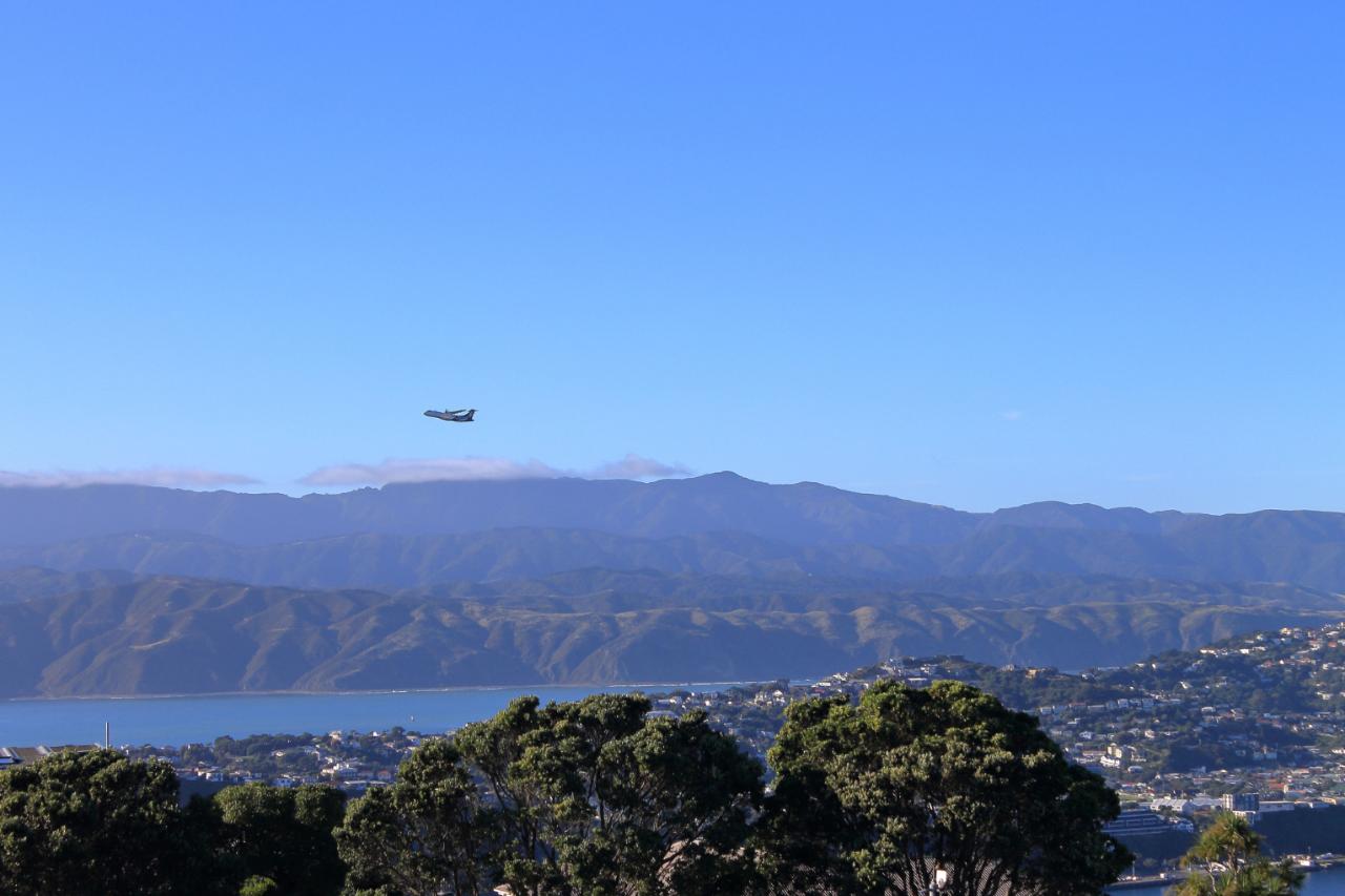 Wellington Mount Victoria: Climb & Unwind Experience