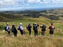 Extended Wild Skyline Guided Hiking Tour, Lunch + Transfers, Wellington