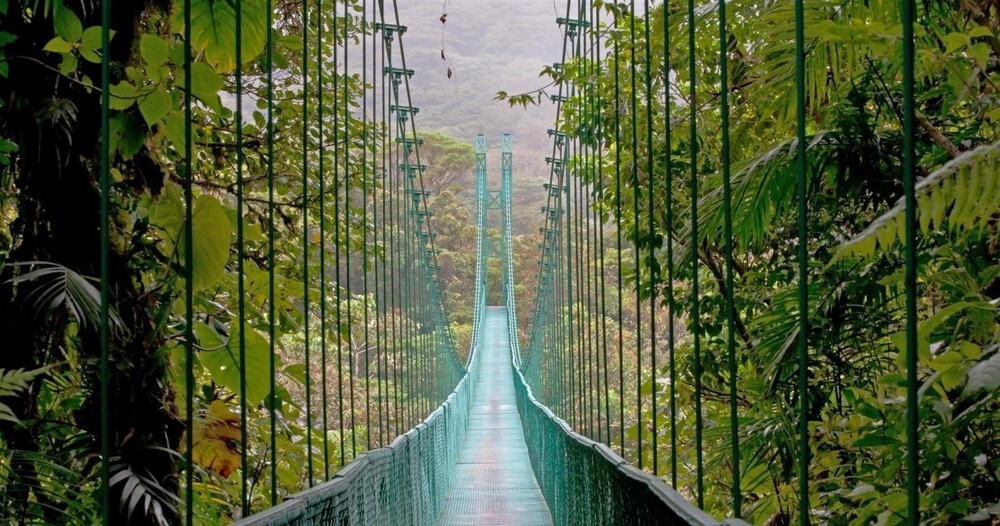 Monteverde Cloud Forest
