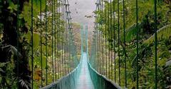 Monteverde Cloud Forest