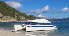 Catamaran Tour Island Tortuga