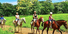 Jungle Horseback Riding & Natural Pool Tour