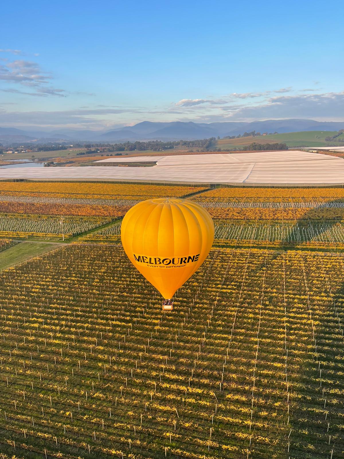 Yarra Valley Flight