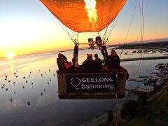 ***** Geelong Flight AGENT *****
