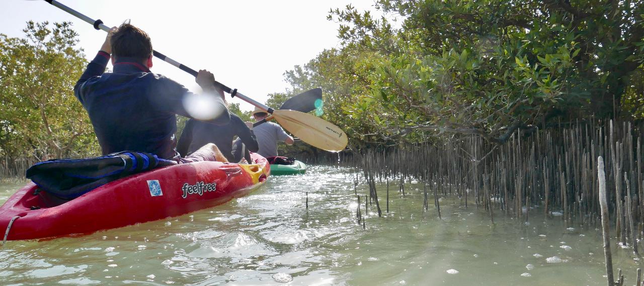 Mangroves Hidden Waterway Tour (PURPLE ISLAND)