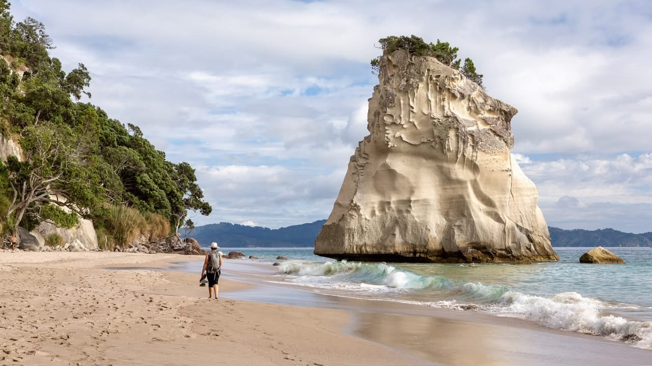 Cathedral Cove & Hot Water Beach Private Tour 