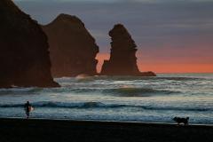 Piha Beach & Wilderness Private Tour: Auckland Half Day Trip