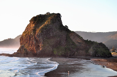 Mt. Eden, Piha Beach & Karekare Waterfalls - PRIVATE TOUR