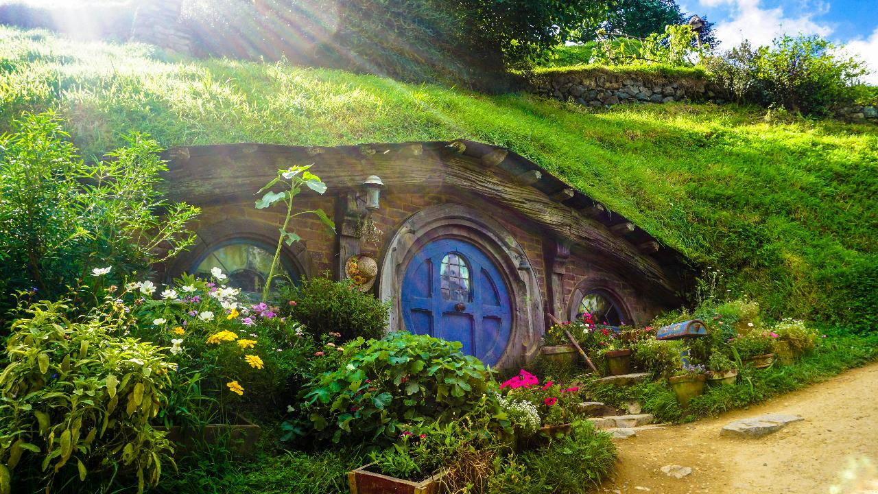 Private Transfer to Hobbiton from Auckland + Blue Springs