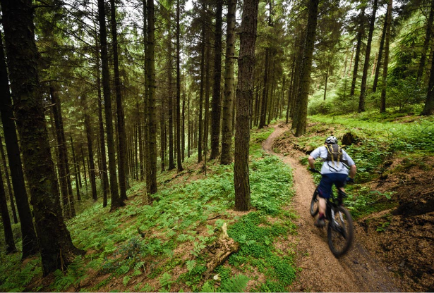 MTB Advanced - 1 Day