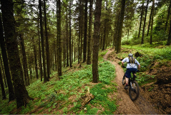 MTB Advanced - 1 Day