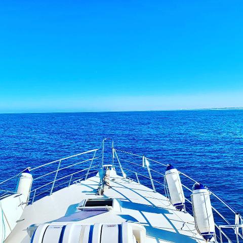 24af233b7c19487e9c552fc5d675b4d148997428_557330301400407_7530783815581564928_n