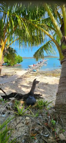 345020994_958216912038620_8503814201927018614_n