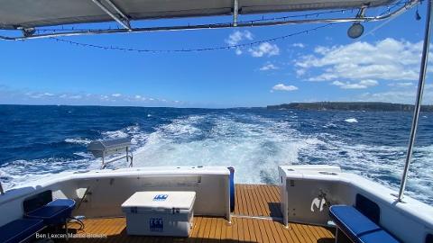 4336973e9d64438b8567f75cf7f4d9074_4