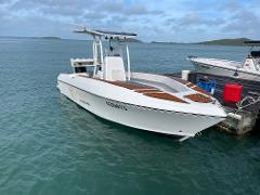Half Day Fishing Charter for up to 4 people - 6.5 m center console 1 - Price per person