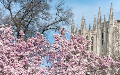 Cleveland Park Historic Walking Tour, DC