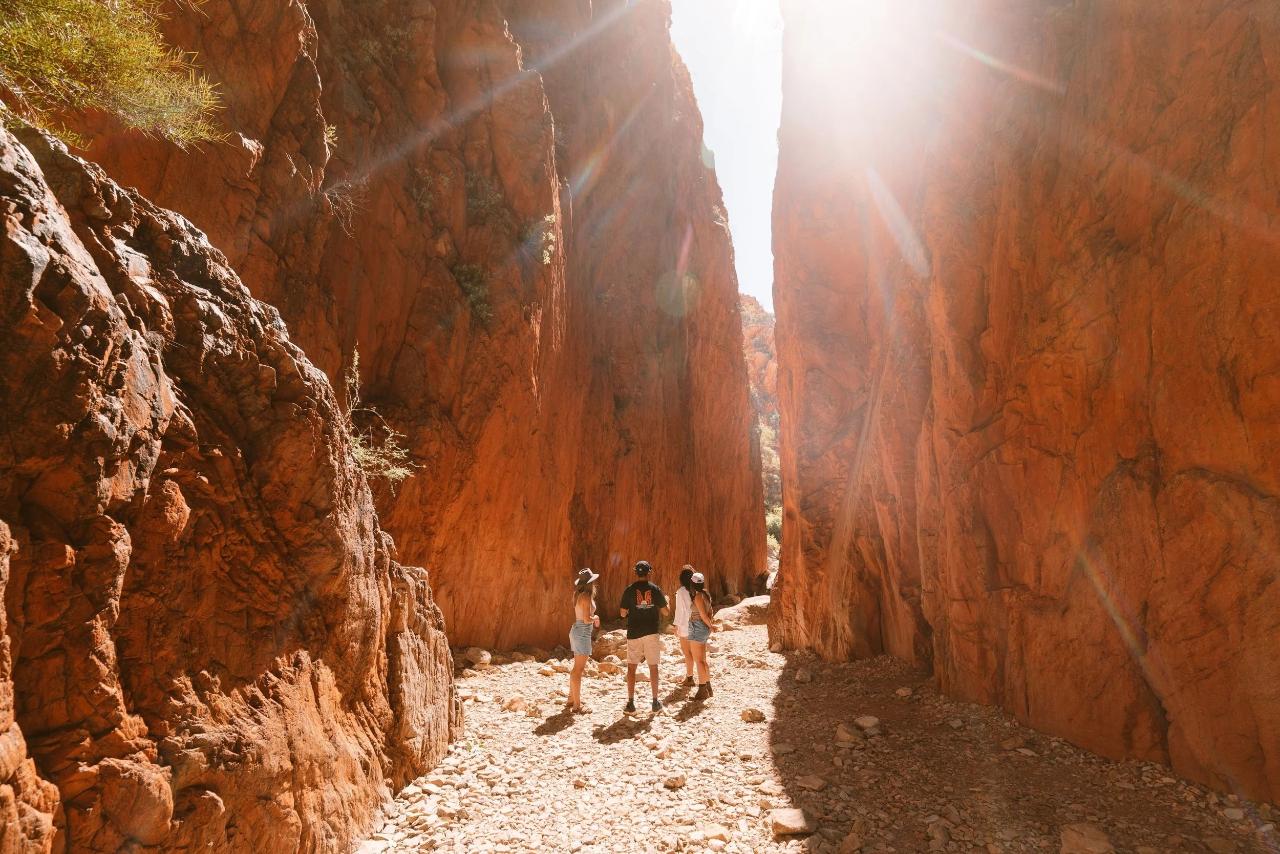 Angkerle Atwatye / Standley Chasm - Private Tour