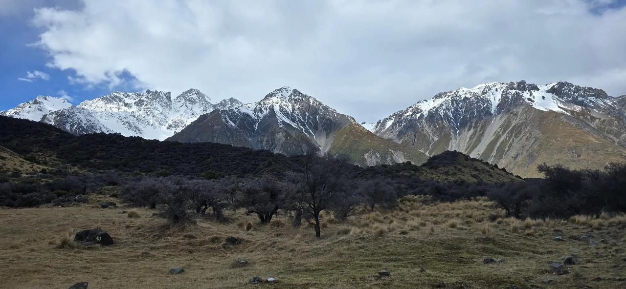 Tekapo to Mt. Cook National Park Day Tour with Driver