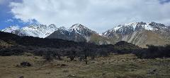 Tekapo to Mt. Cook National Park Day Tour with Driver