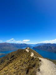 Roys Peak (1 way)