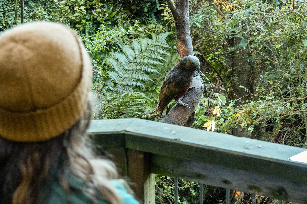 One Hour Guided Tour