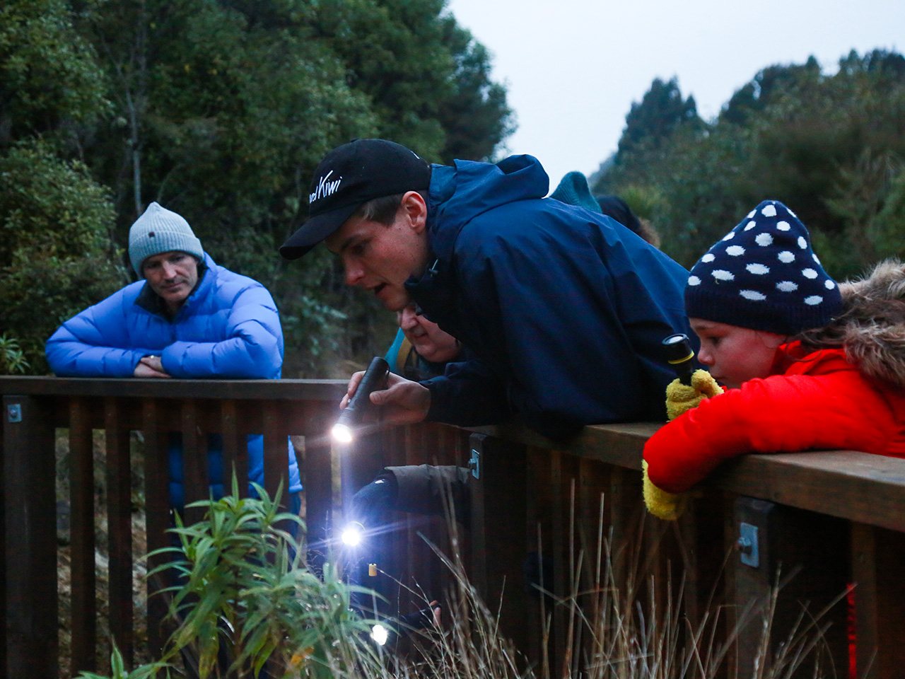 Kids Night Walks: Explore Te Pō with Tamariki