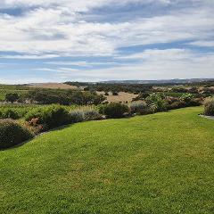 McLaren Vale Shared Tour 
