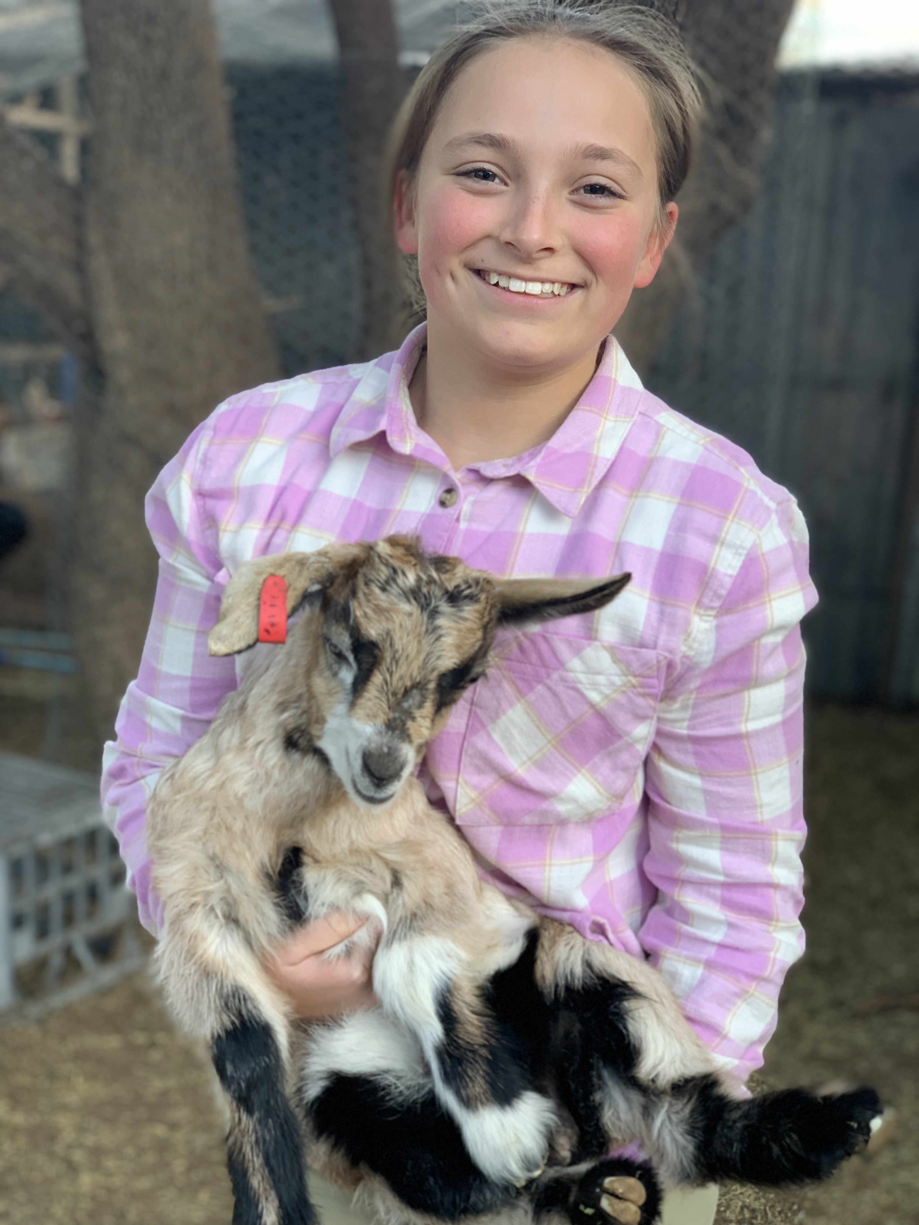 Glimpse of Carinya Stroll & Chat Tour