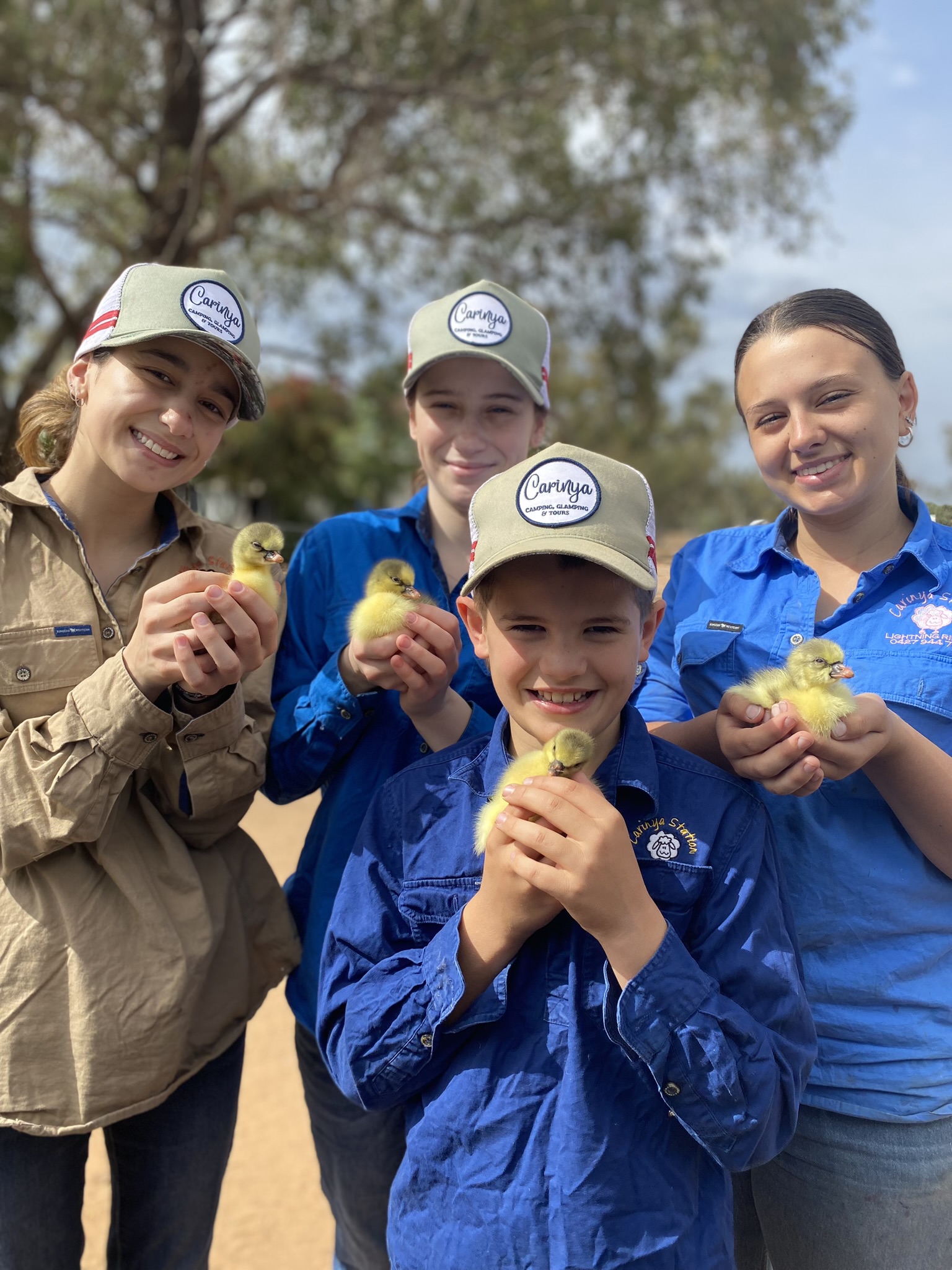 Glimpse of Carinya Stroll & Chat Tour