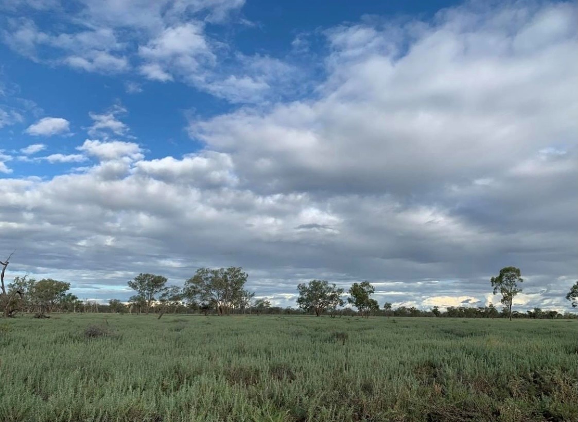 Beyond The Gate: Premium Sundowner Tour