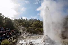 From Auckland: One way trip to Rotorua via Wai O Tapu and Hotel Drop-off
