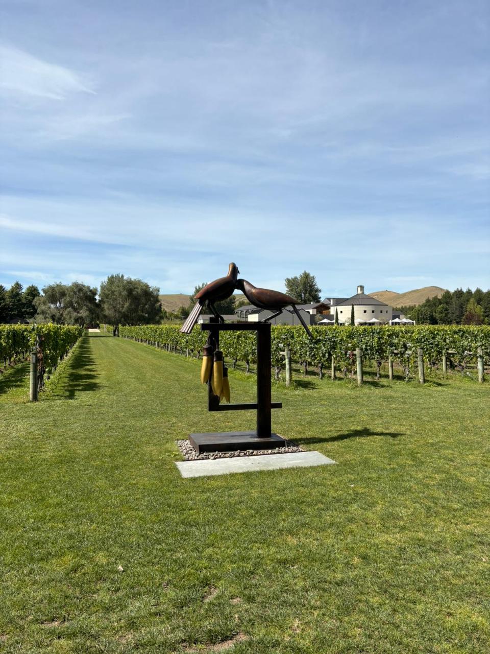 Mates Travel: Craggy Range Deluxe — Private — Hawke's Bay - Photo 30