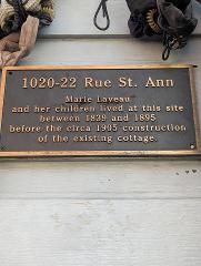 Gilded Grit: Women of the Vieux Carré