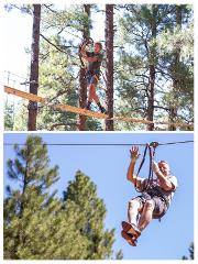 Adventure Zip Lines AND Adventure Course: Adults (ages 12+)