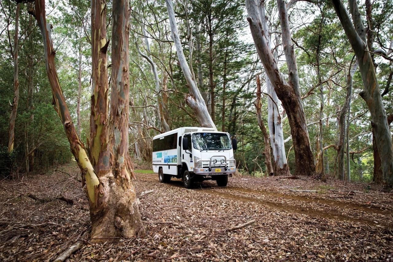4WD Island Adventures