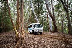 4WD Island Adventures