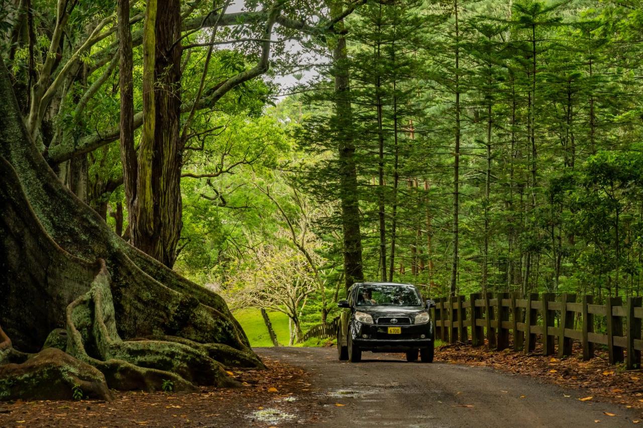 DIY Discovery Tours