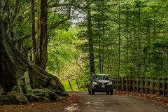 DIY Discovery Tours