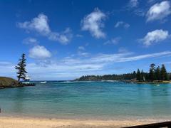 Island Life Coach Tour