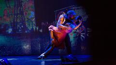 SOLO SHOW