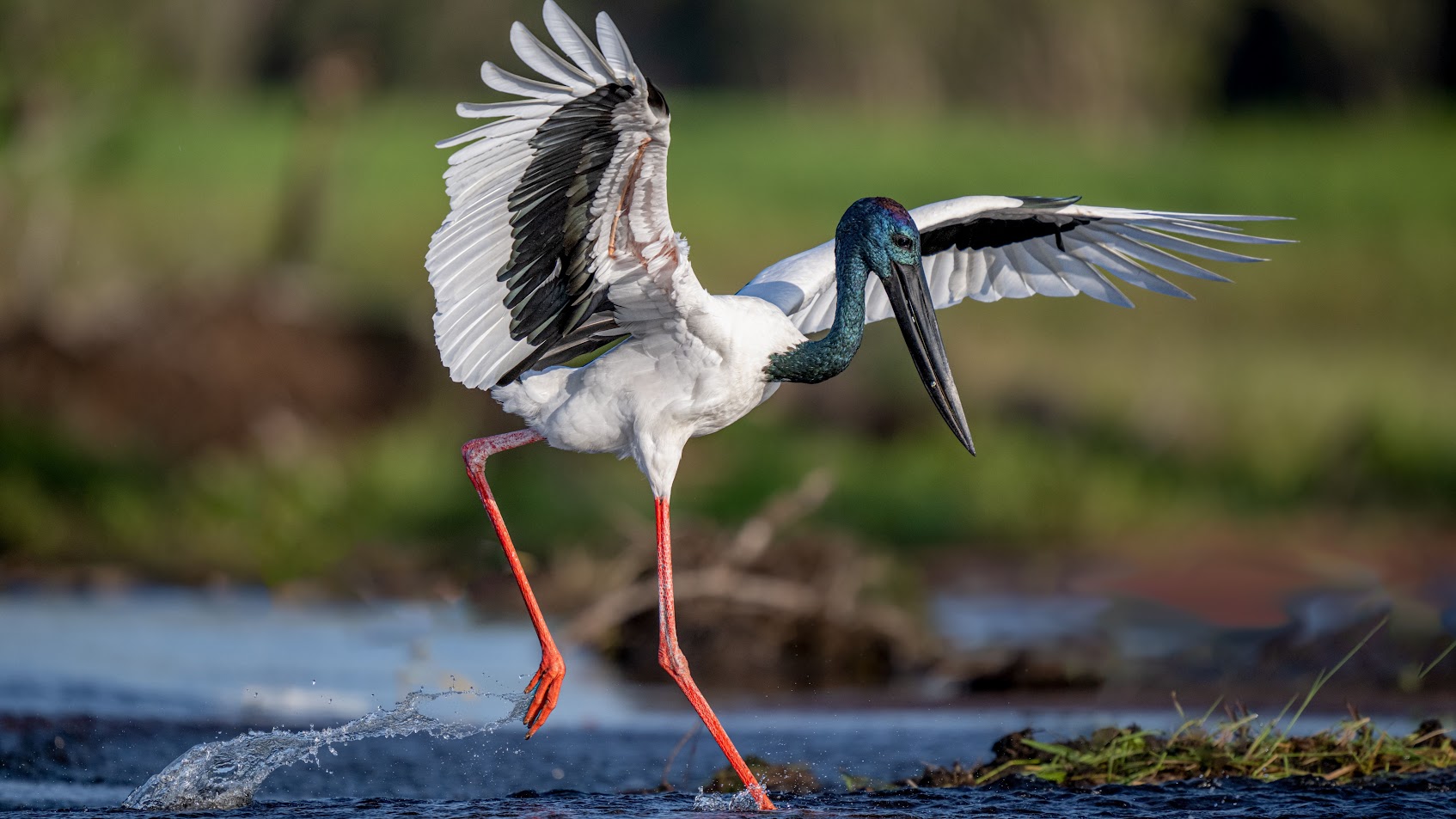 Kakadu National Park Full Day Tour - featuring the Multi-Award Winning Yellow Water River Cruise - 1 Day Tour - Departing Darwin - Tour 3B
