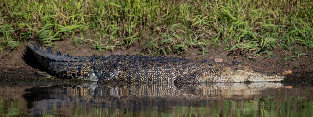 Kakadu National Park Full Day Tour-  2 Hour Aboriginal Cultural River Cruise, Cahills Crossing, Ubirr Rock Art Gallery & Lookout, Ubirr Lookout - Departing Darwin - Tour 3A