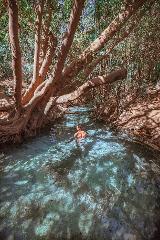 Nitmiluk National Park, Katherine Hot Springs OR  Leliyn (Edith Falls) - 1 Day Tour - Departing Darwin - Tour 4A 