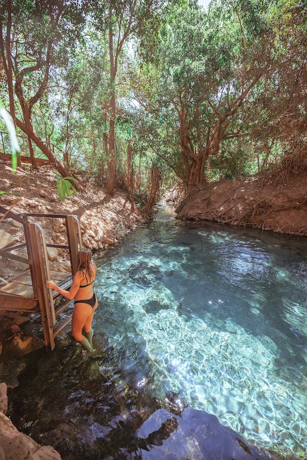 Nitmiluk National Park, Katherine Hot Springs /  Leliyn (Edith Falls) - 1 Day Tour - Departing Darwin - Tour 4A