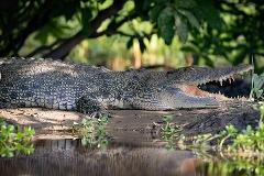 Kakadu National Park Full Day Tour - featuring the Multi-Award Winning Yellow Water River Cruise - 1 Day Tour - Departing Darwin - Tour 3B