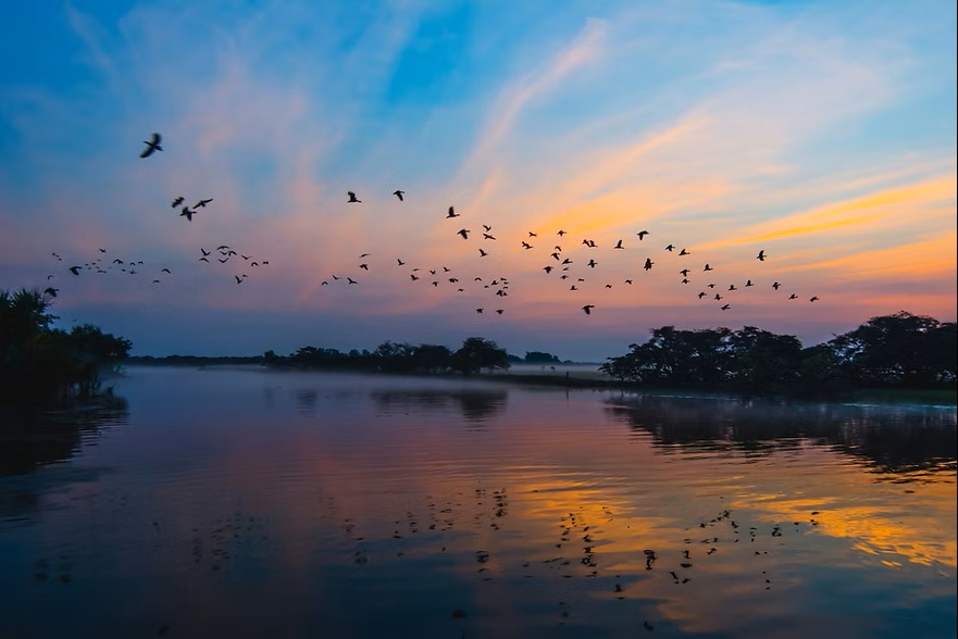 Kakadu National Park - Sunset / Evening Tour - Yellow River Wildlife Sunset Cruise - 1 Day Tour - Departing Darwin