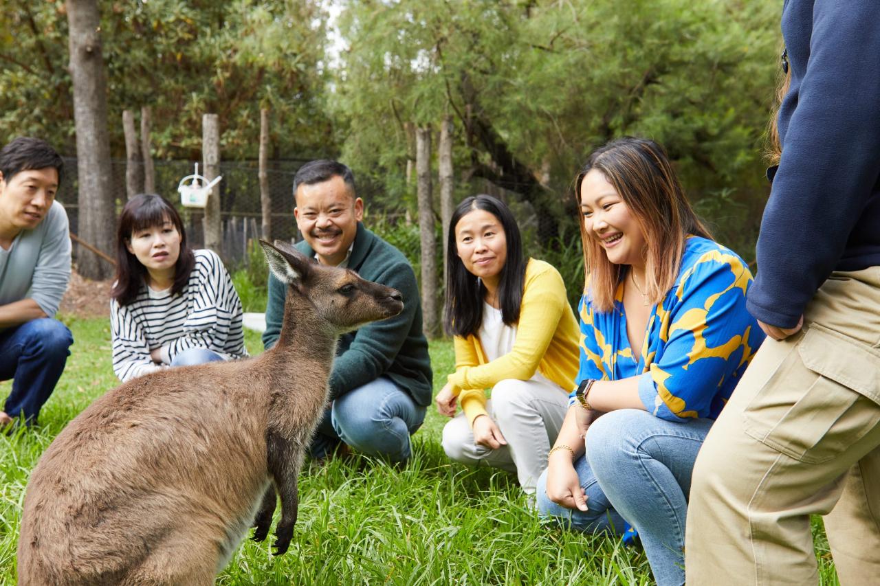Hello Victoria Tours: Yarra Valley Wine & Wildlife Adventure - Photo 3