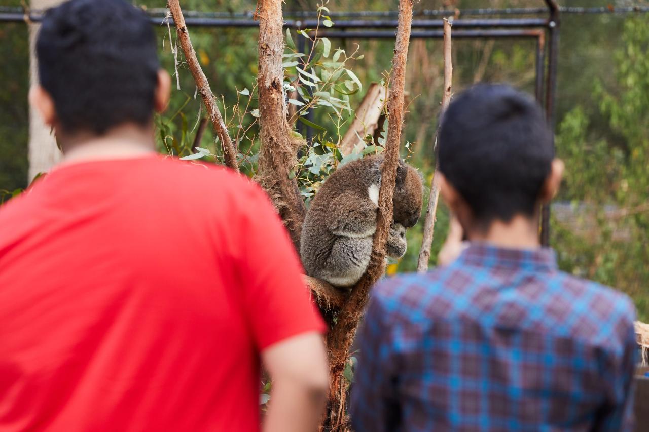 Hello Victoria Tours: Yarra Valley Wine & Wildlife Adventure - Photo 5