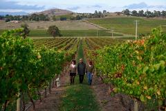 Yarra Valley Wine & Wildlife Adventure