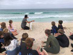 Group Lesson Pack - 3 Lessons